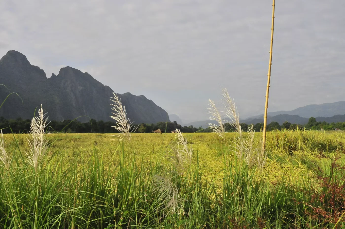Campos y montañas kársticas de Vang Vieng, Laos