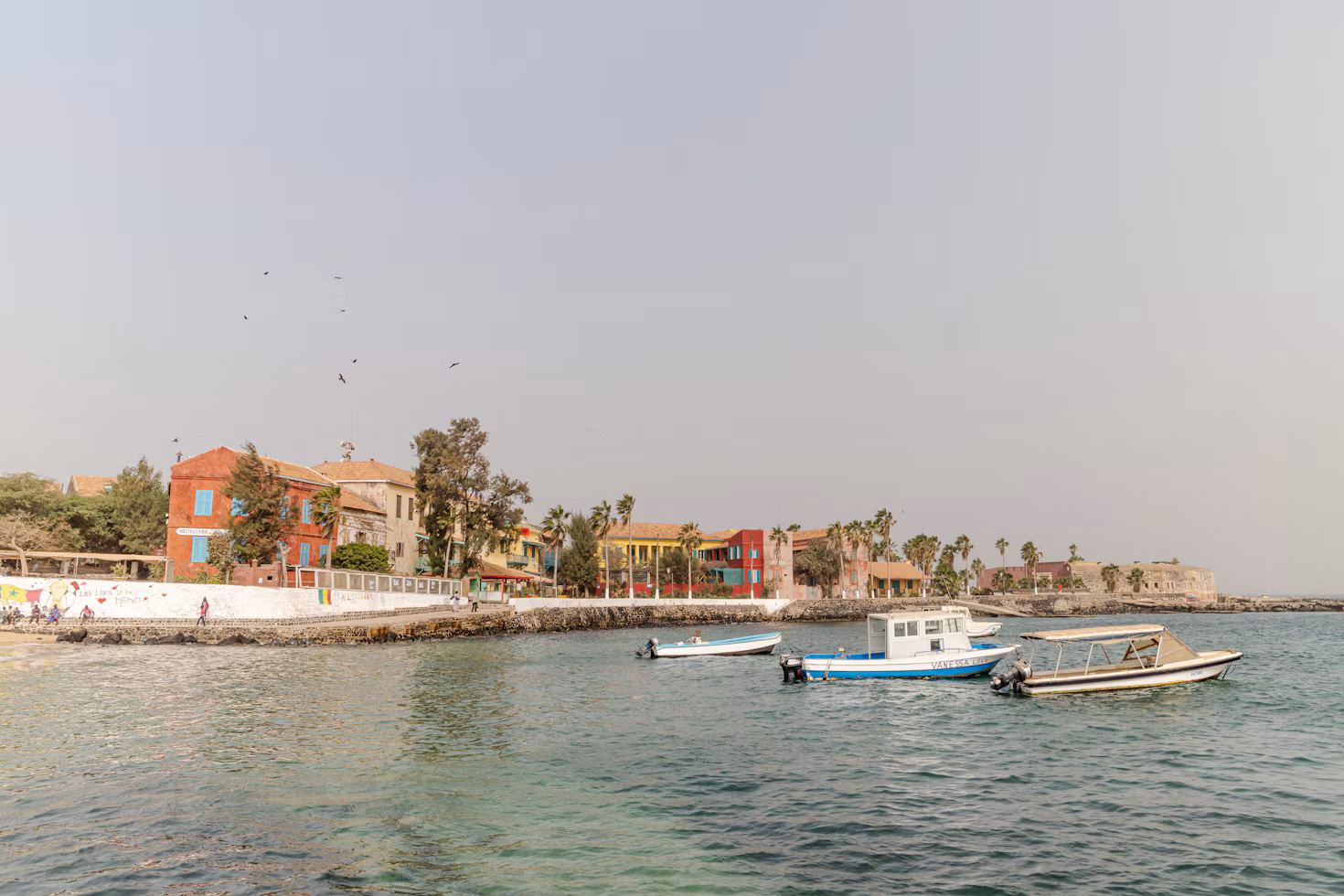 Un grupo de barcos flotando sobre un cuerpo de agua